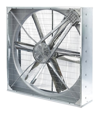 Loj Loj Lub Tsev Tsev Khov Cua Txias Ntxuam