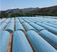 Yas zaj duab xis tsev cog khoom rau kev ua liaj ua teb nrog tag nrho automation nrog Environmental Control Sensors